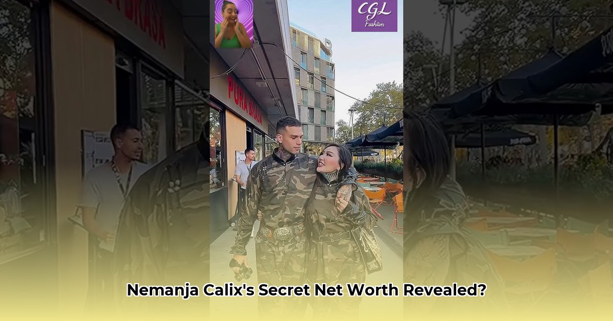 nemanja-calix-net-worth